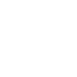 0x0 Labs Logo